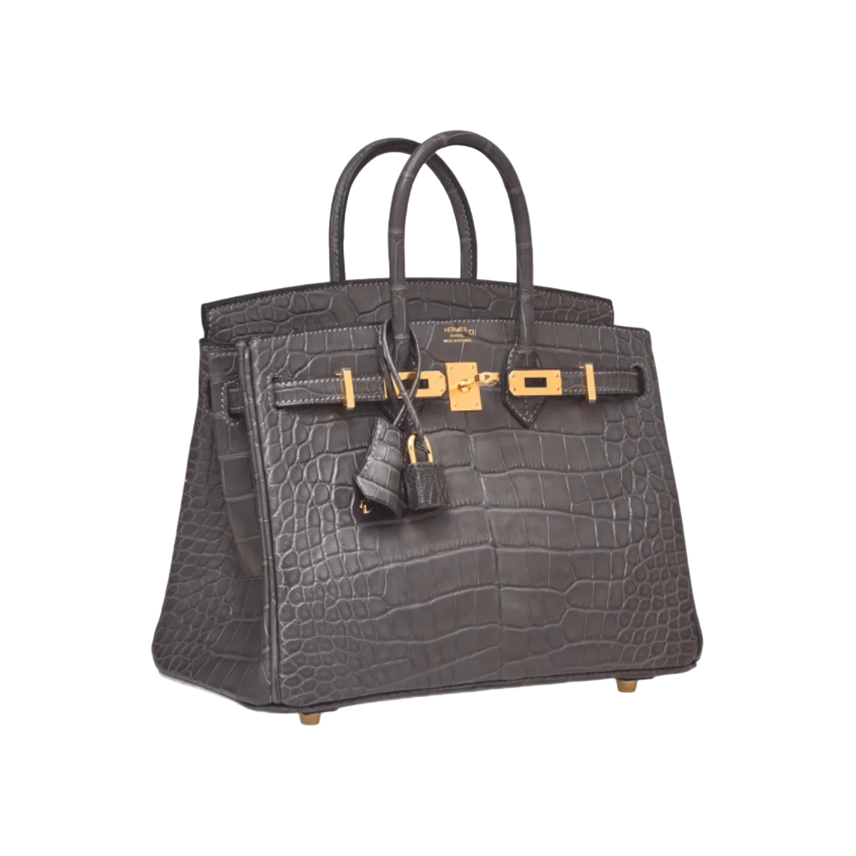 Hermes Birkin 25 Graphite Matte Croco Gold Hardware Handbag