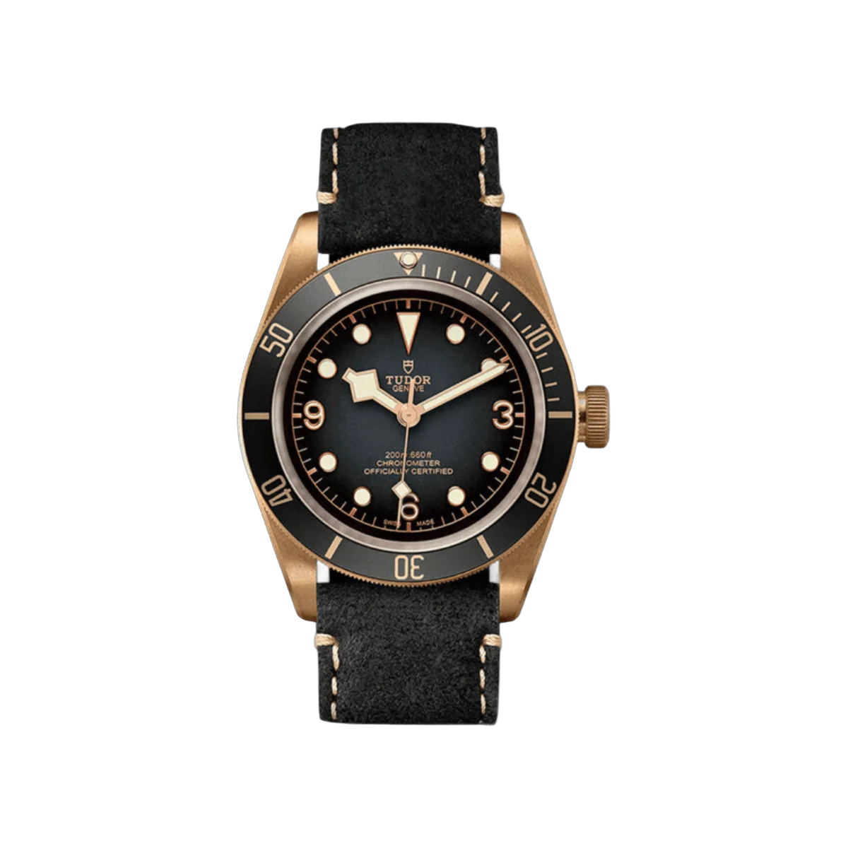 Tudor Black Bay M79250BA-0001 Bronze Slate Grey Dial 43mm Men’s Watch