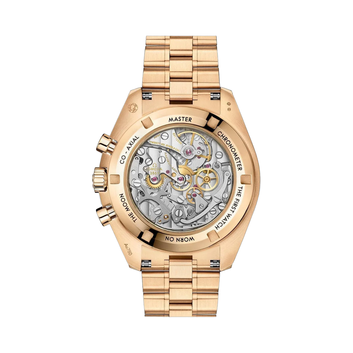 Omega Moonwatch Professional 310.60.42.50.10.001 Co‑Axial Master Chronometer Chronograph 42 mm